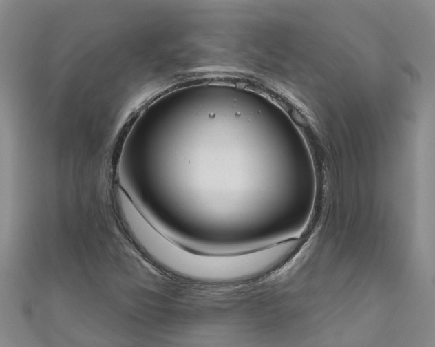 X0000111181357200907081227