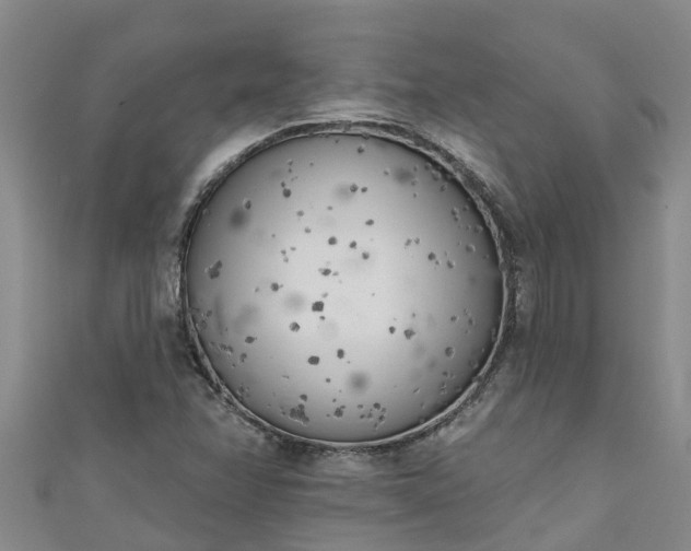 X0000111181358200907081227