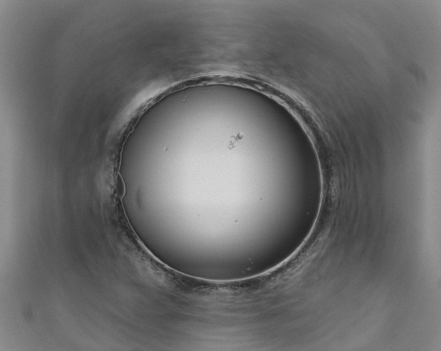 X0000111181359200907081227