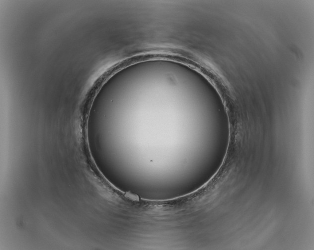 X0000111181360200907081227