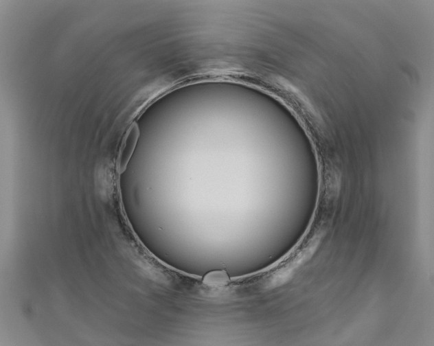 X0000111181361200907081227