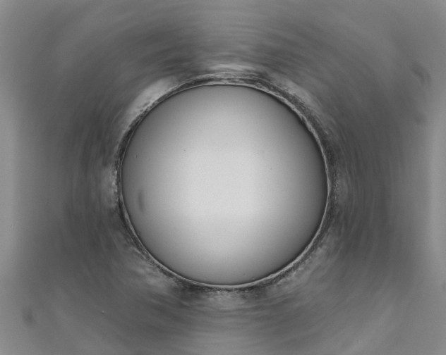 X0000111181362200907081227