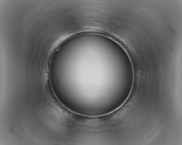 X0000111181363200907081227