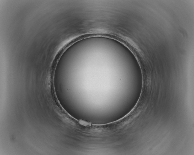 X0000111181364200907081227