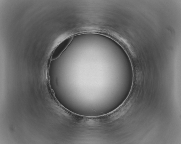 X0000111181365200907081227