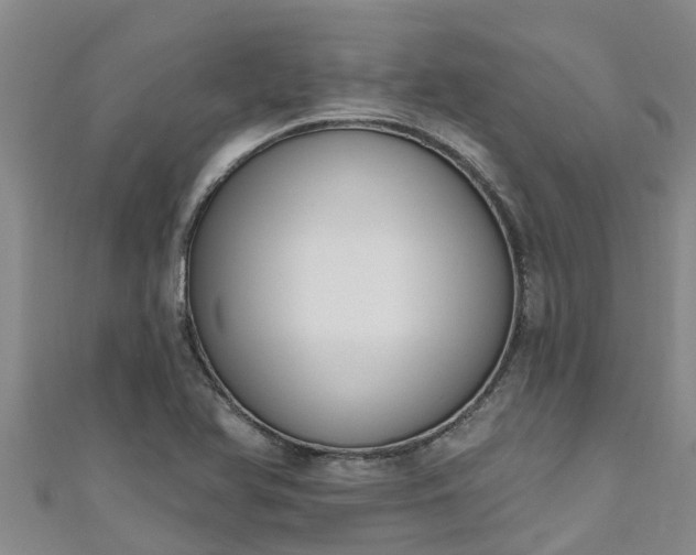 X0000111181366200907081227