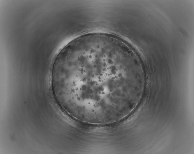 X0000111181367200907081227