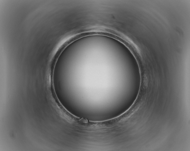 X0000111181368200907081227