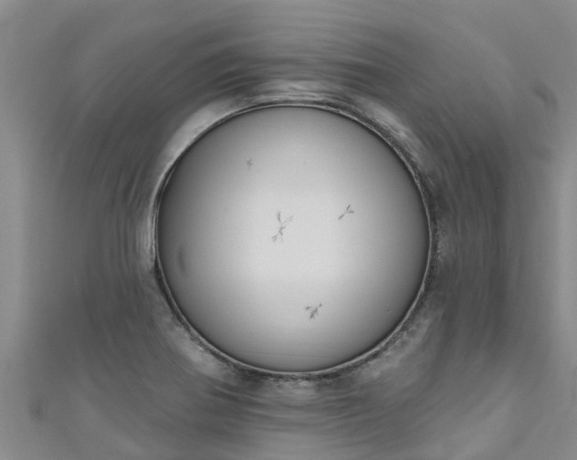 X0000111181370200907081227