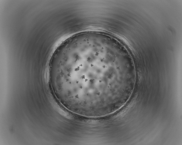 X0000111181371200907081227