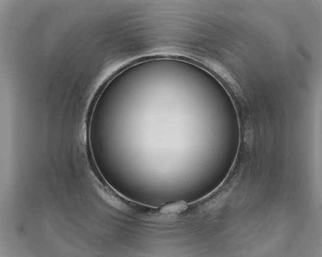 X0000111181372200907081227