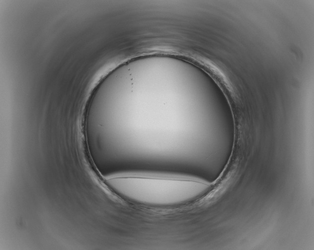 X0000111181373200907081227