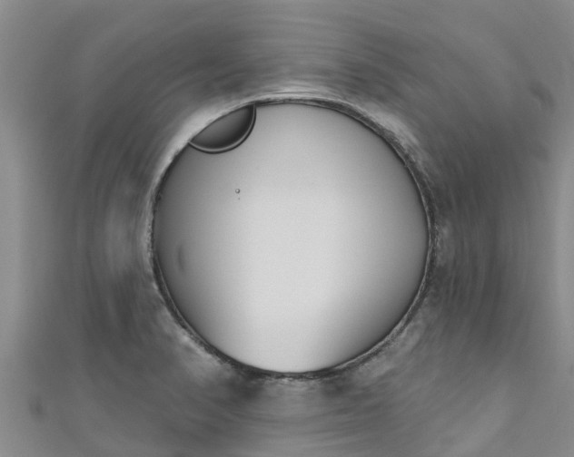 X0000111181374200907081227