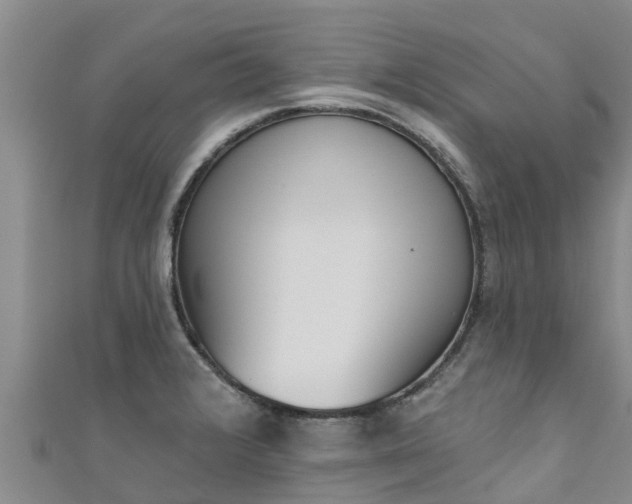 X0000111181376200907081227