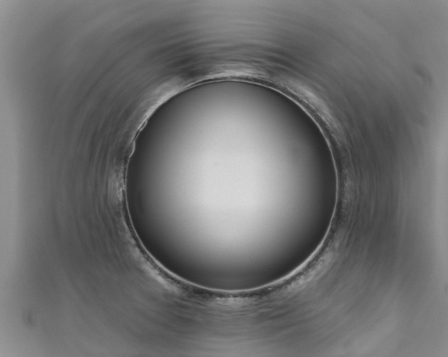 X0000111181377200907081227