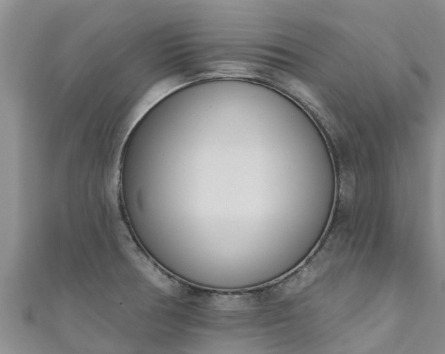 X0000111181378200907081227