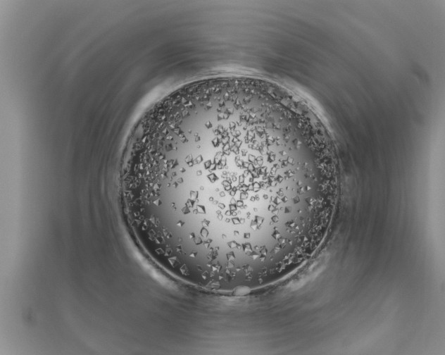 X0000111181381200907081227