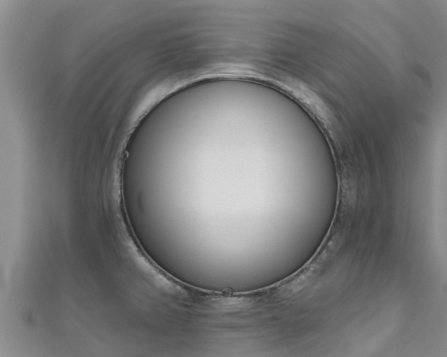 X0000111181382200907081227