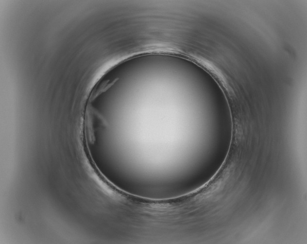 X0000111181383200907081227