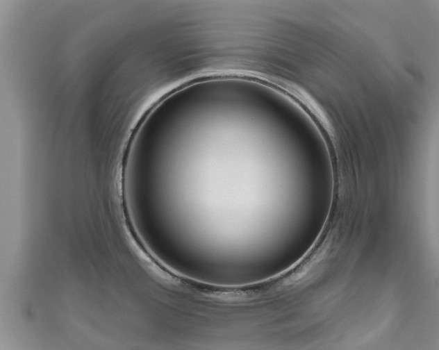 X0000111181388200907081226