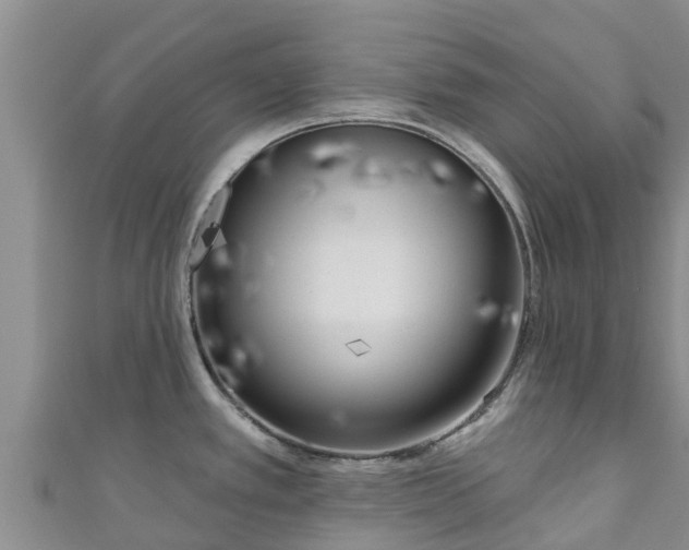 X0000111181389200907081226