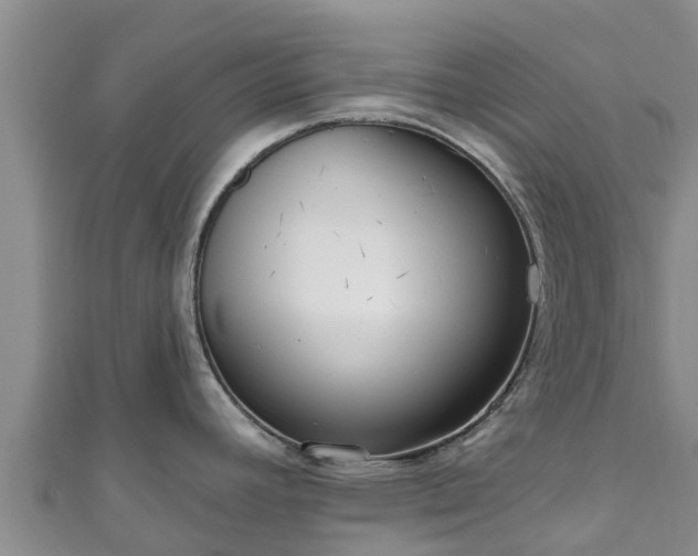 X0000111181392200907081226