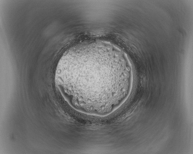 X0000111181393200907081226