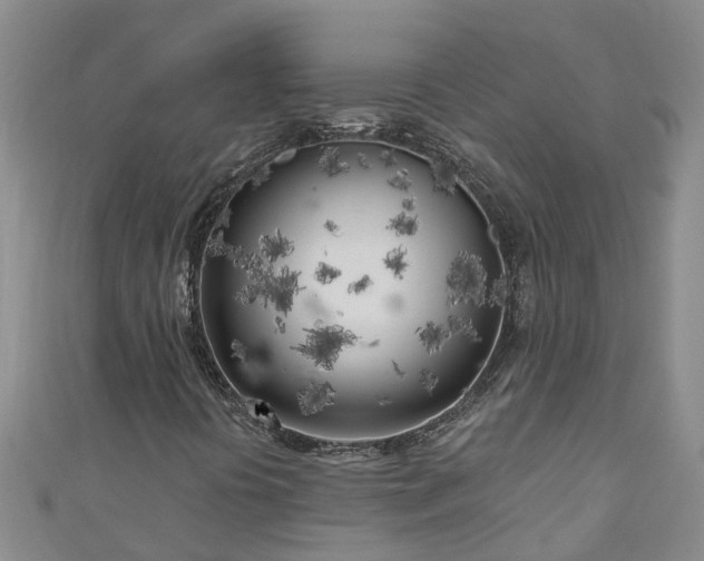 X0000111181394200907081226