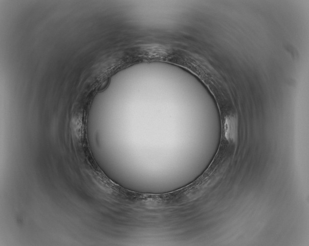 X0000111181395200907081226