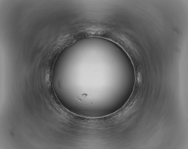 X0000111181396200907081226