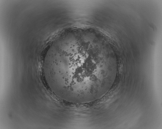 X0000111181397200907081226