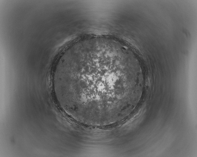 X0000111181398200907081226