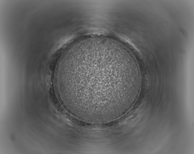 X0000111181399200907081226