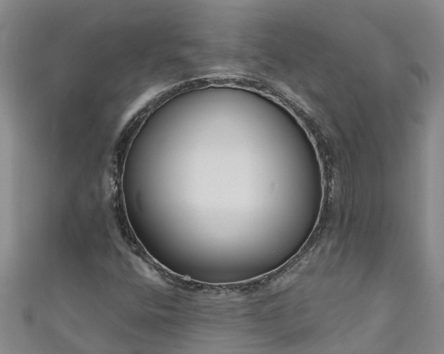 X0000111181400200907081226