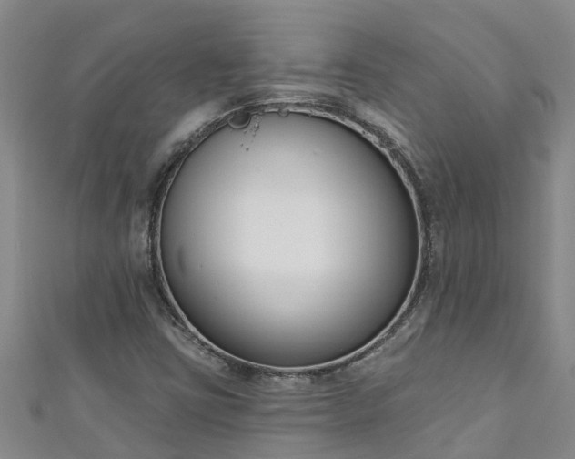 X0000111181403200907081226