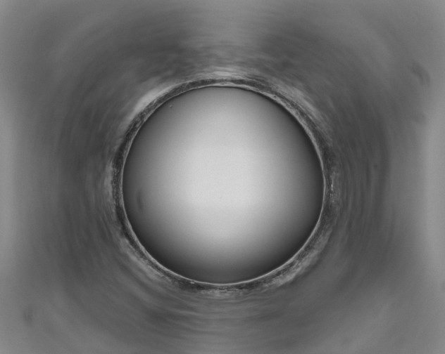 X0000111181404200907081226