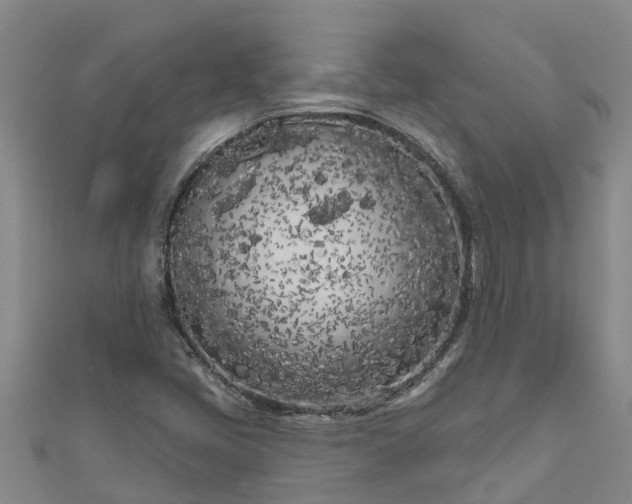 X0000111181405200907081226