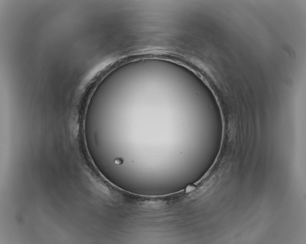 X0000111181406200907081226