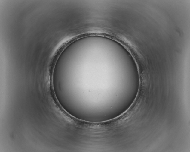 X0000111181408200907081226