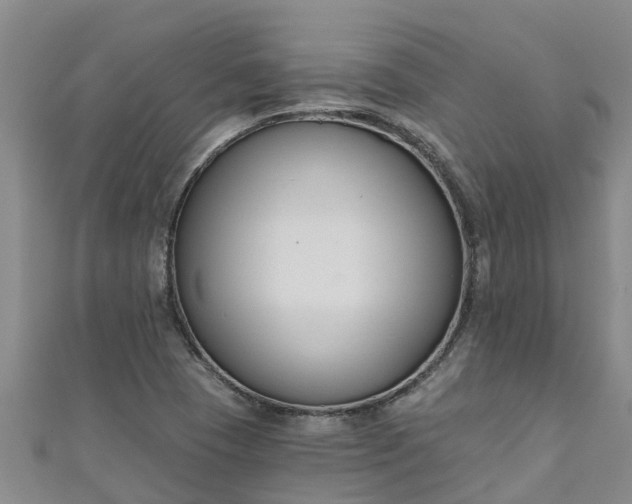 X0000111181409200907081226