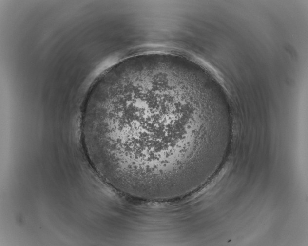 X0000111181411200907081226