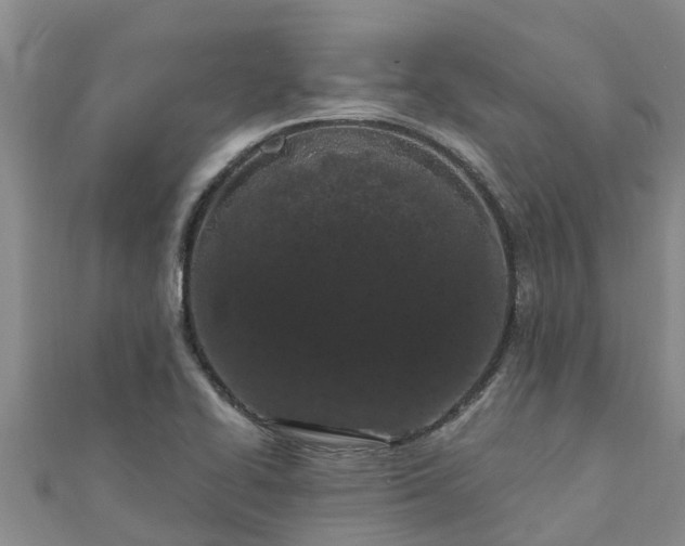 X0000111181414200907081226