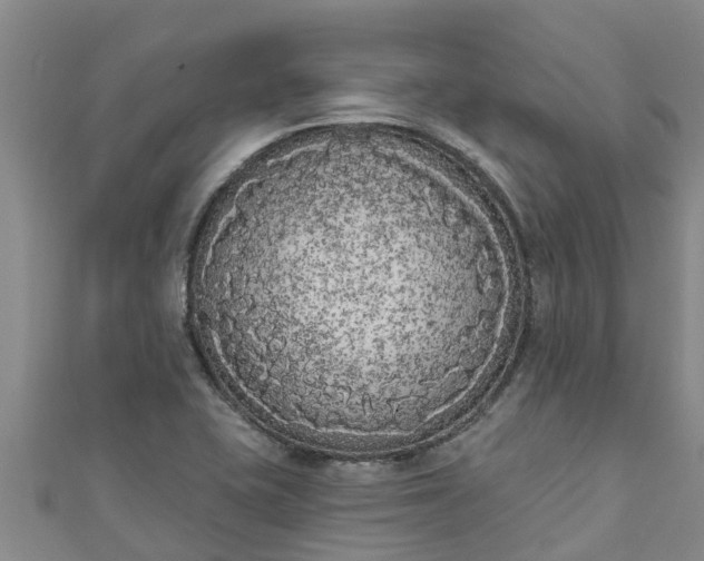 X0000111181415200907081226