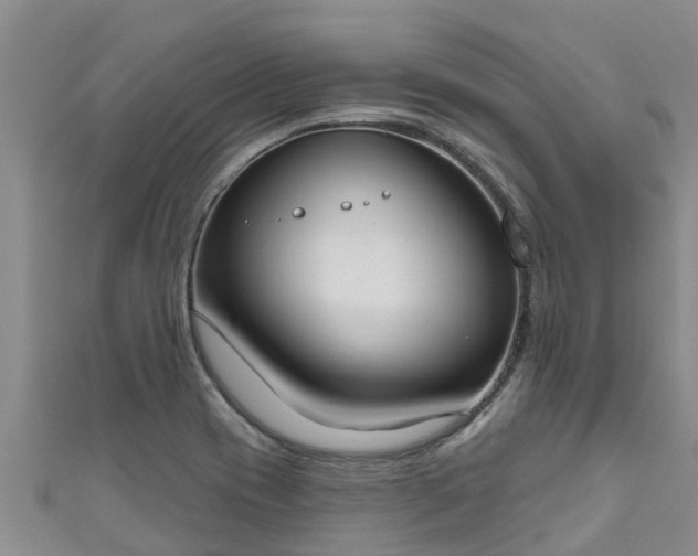 X0000111181417200907081226