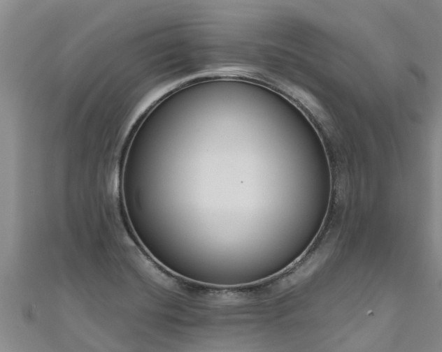 X0000111181420200907081226