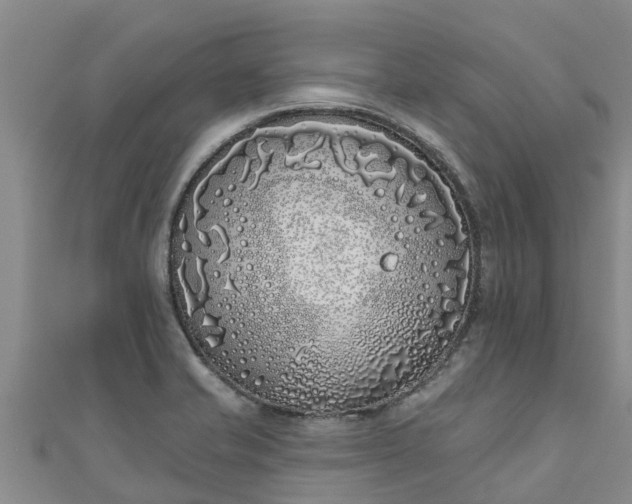 X0000111181421200907081226