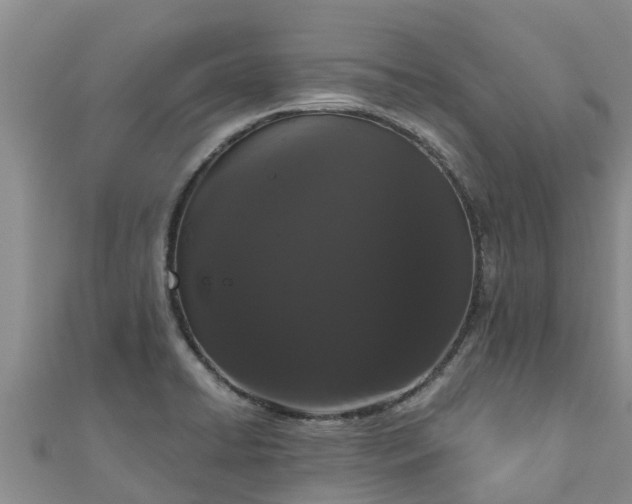 X0000111181422200907081226