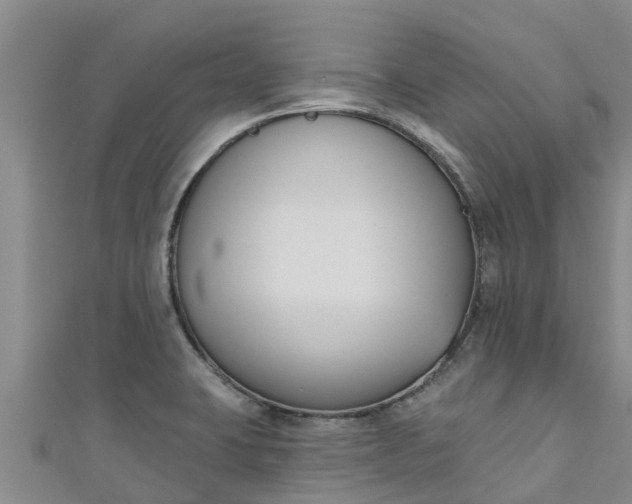 X0000111181423200907081226