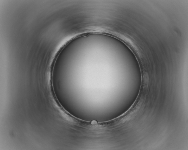 X0000111181424200907081226