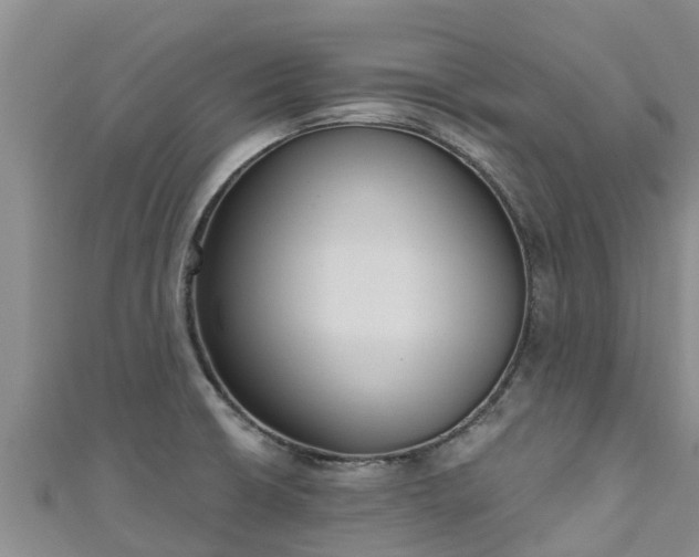 X0000111181426200907081226